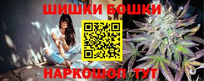 гидропоника Заводоуковск