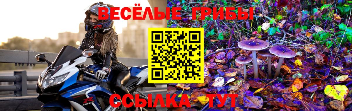 Галлюциногенные грибы Psilocybe  Вход с VPN  Магадан  Псилоцибиновые грибы Psilocybe 