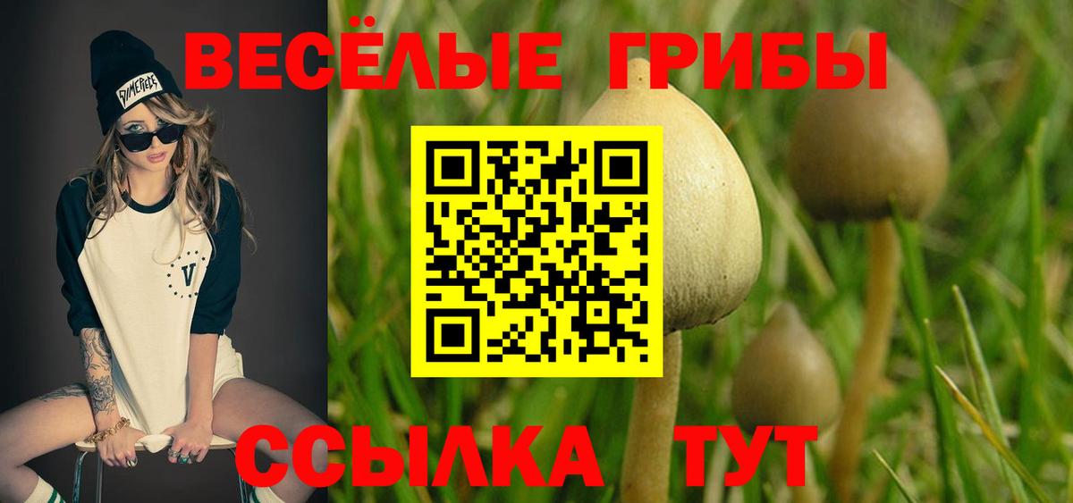 Псилоцибиновые грибы мицелий Магадан